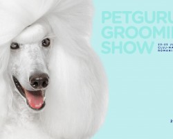 Petguru Grooming Show 2023, Румъния