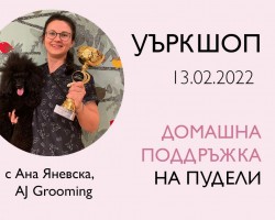 Уъркшоп: Домашна поддръжка на пудели с Ана Яневска